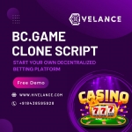 BC. game Clone Script - Start Your Real Money App at Low Cost